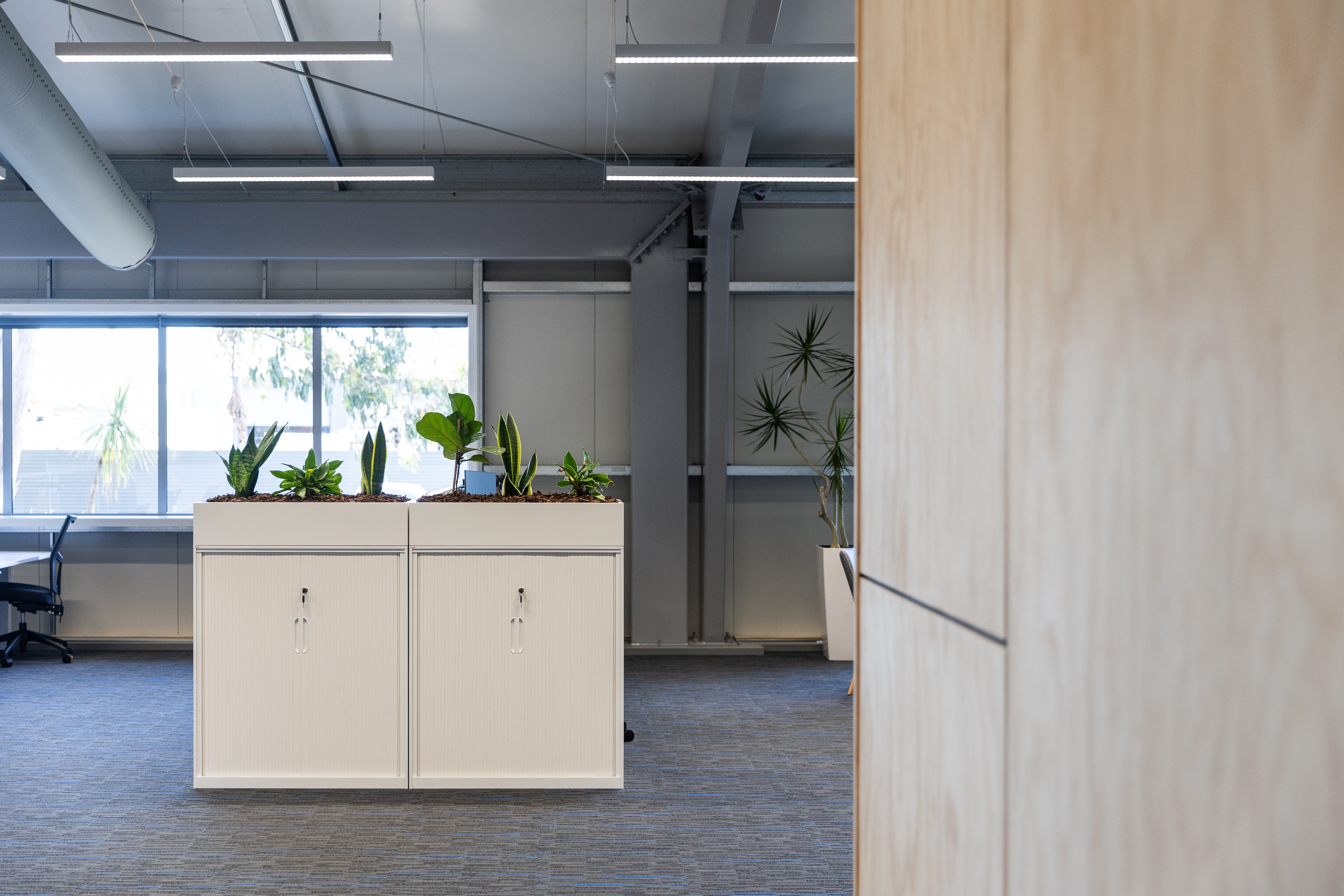 Eco-Friendly Commercial Construction - Corcon