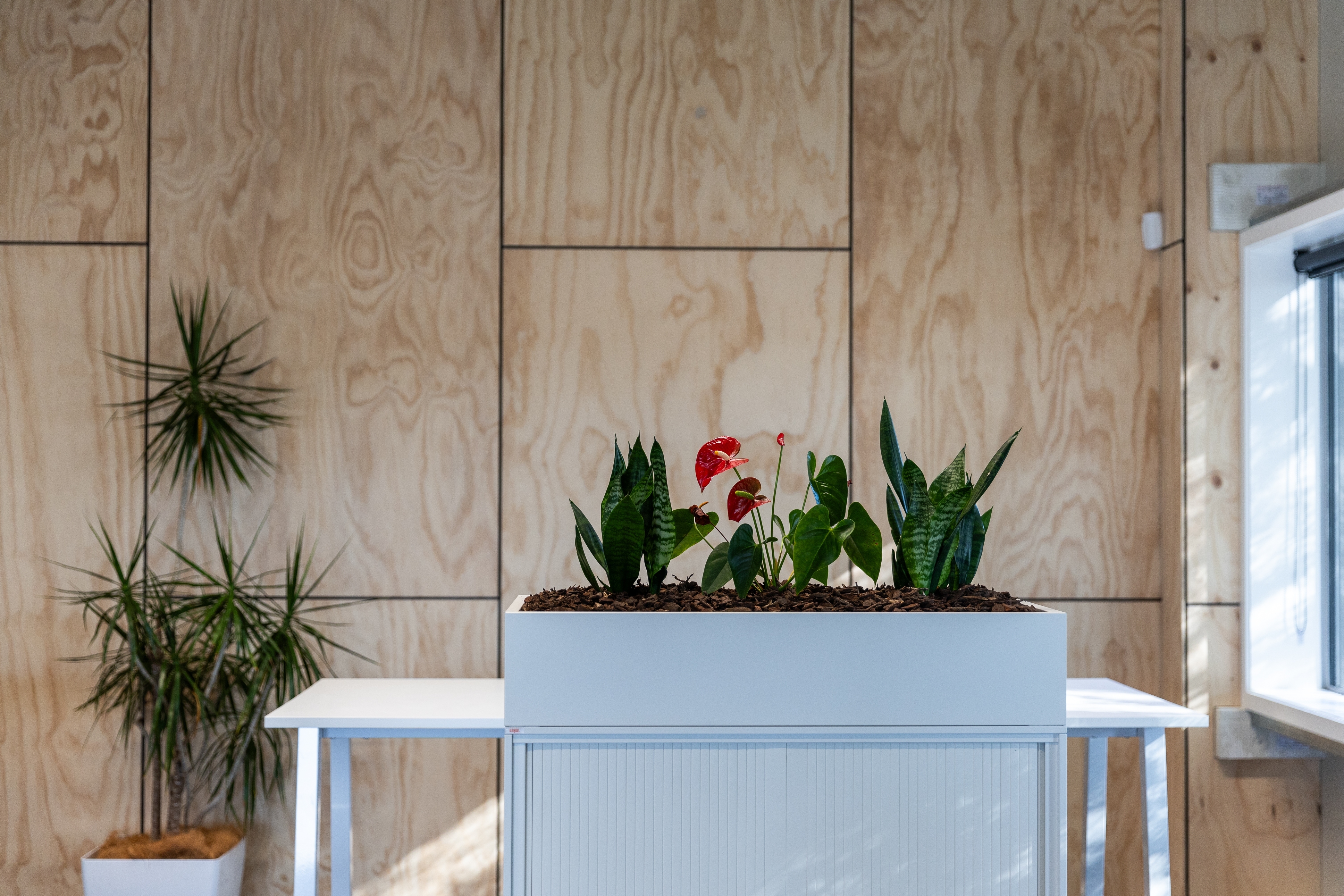 Eco-Friendly Commercial Construction - Corcon